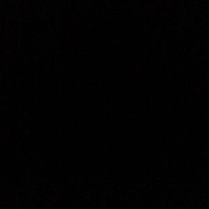 Meet your Posher, Audrey